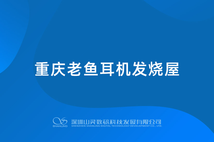 重慶老魚耳機(jī)發(fā)燒屋